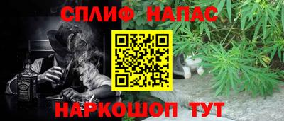 твердый Будённовск